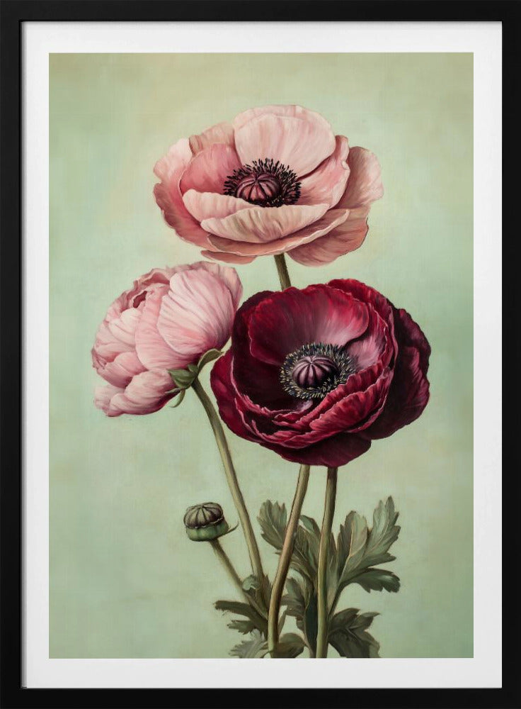 Peonies - Poster / Art Print