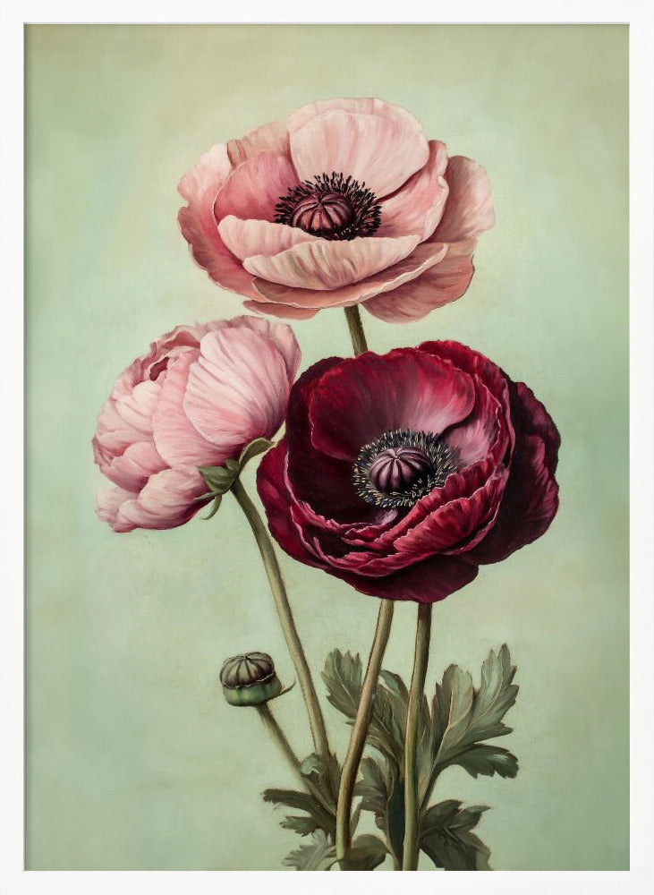 Peonies - Poster / Art Print