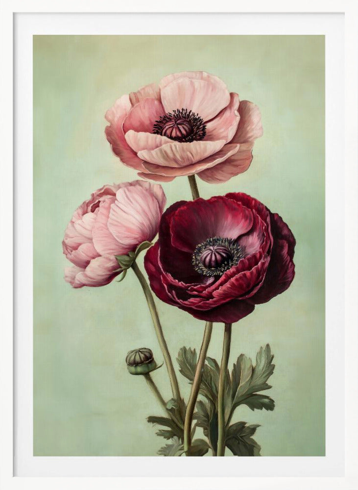 Peonies - Poster / Art Print