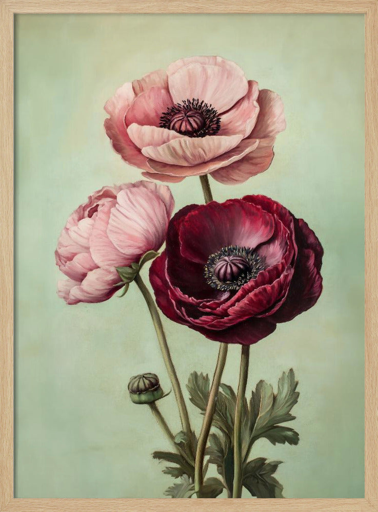 Peonies - Poster / Art Print