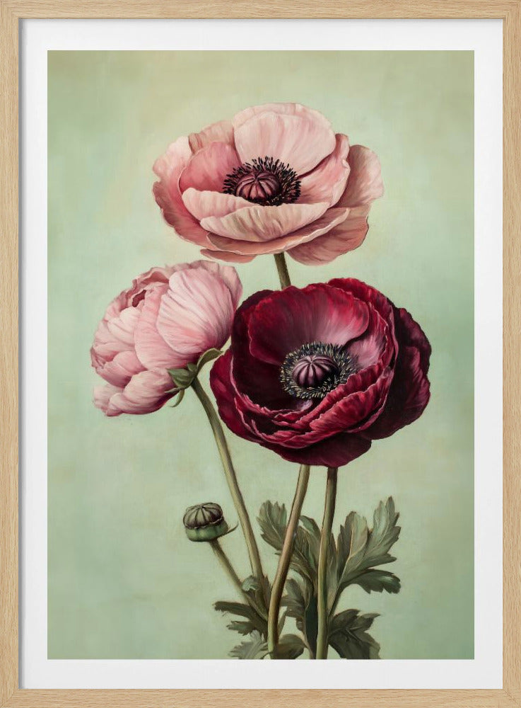 Peonies - Poster / Art Print