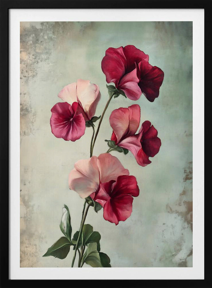 Sweet Pea - Poster / Art Print