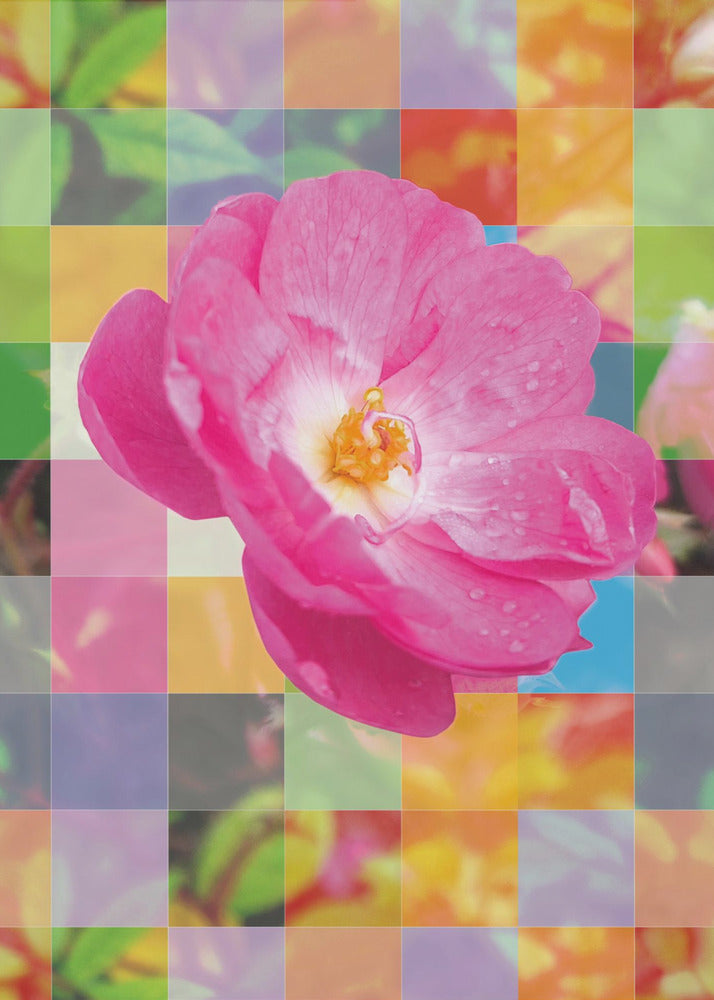 Vivid Pink Flower with Colorful Mosaic - Poster / Art Print