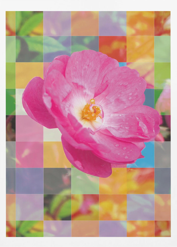Vivid Pink Flower with Colorful Mosaic - Poster / Art Print