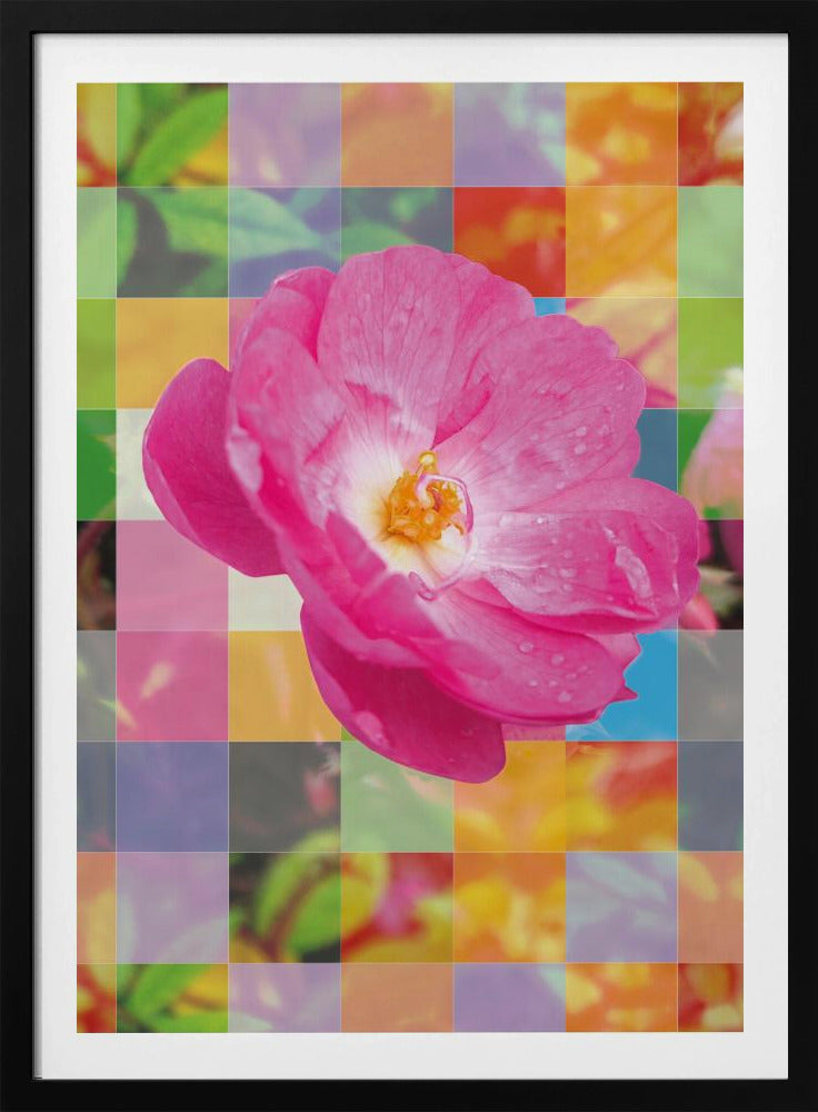 Vivid Pink Flower with Colorful Mosaic - Poster / Art Print