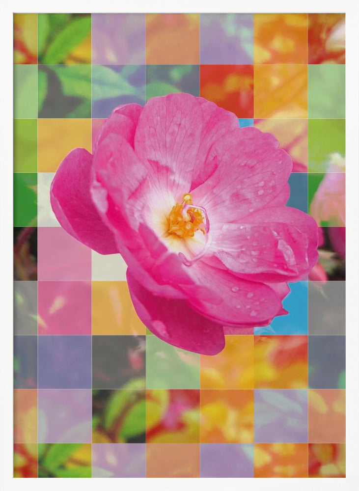 Vivid Pink Flower with Colorful Mosaic - Poster / Art Print