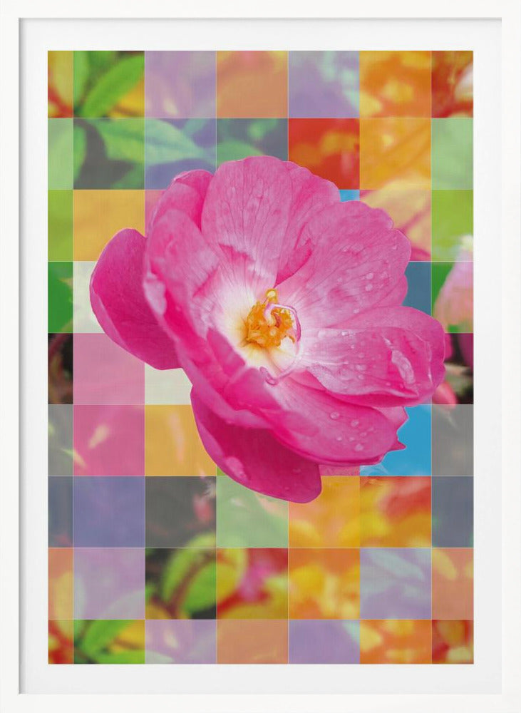 Vivid Pink Flower with Colorful Mosaic - Poster / Art Print