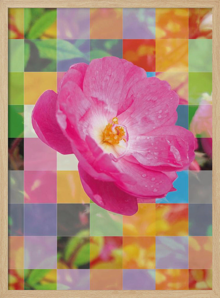 Vivid Pink Flower with Colorful Mosaic - Poster / Art Print