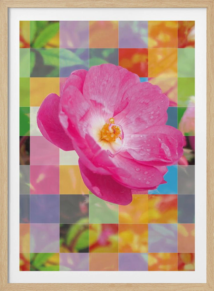 Vivid Pink Flower with Colorful Mosaic - Poster / Art Print
