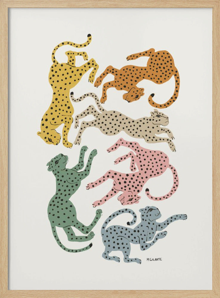 Colorful Cheetahs - Poster / Art Print