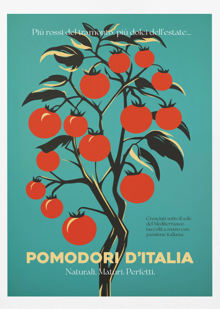 Vibrant Red Tomatoes - Poster / Art Print