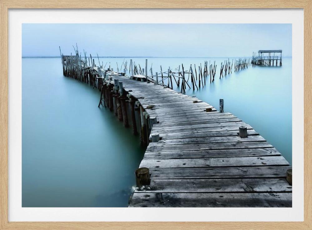 Carrasqueira II - Poster / Art Print