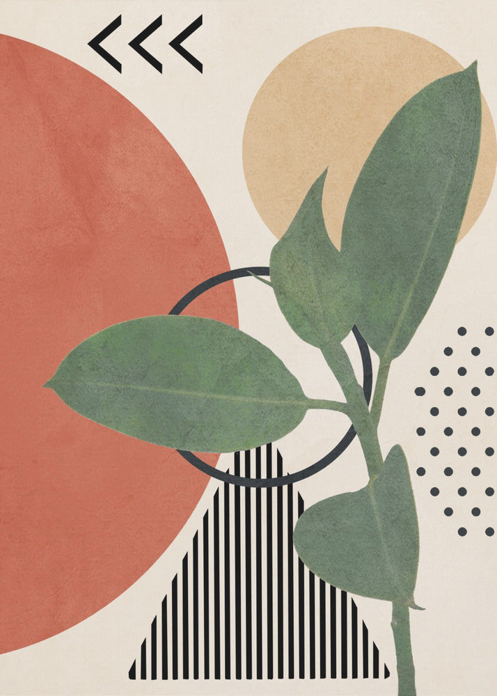 Geometric Botany - Poster / Art Print