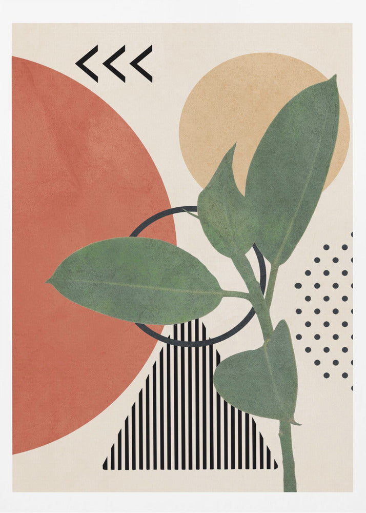 Geometric Botany - Poster / Art Print
