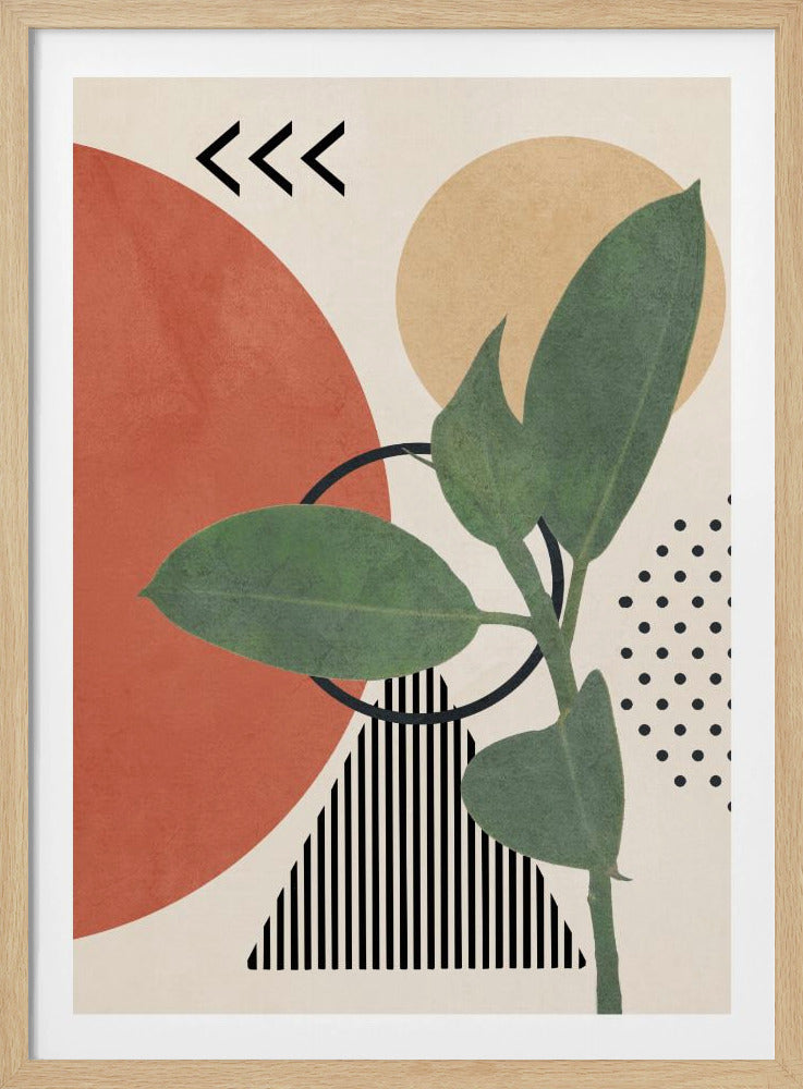 Geometric Botany - Poster / Art Print