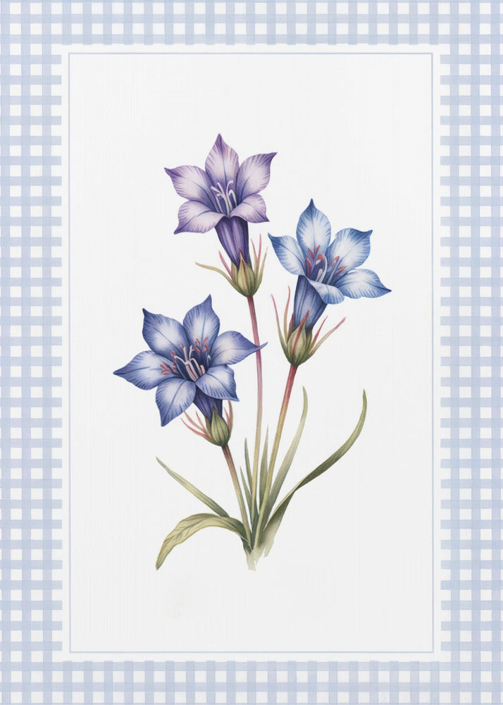 Gentiana Flowers - Poster / Art Print