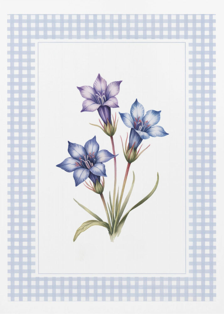 Gentiana Flowers - Poster / Art Print