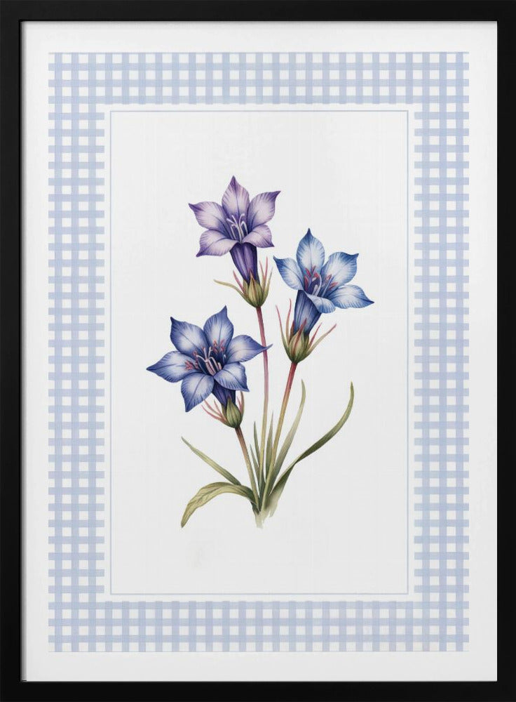 Gentiana Flowers - Poster / Art Print