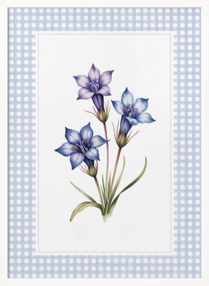 Gentiana Flowers - Poster / Art Print