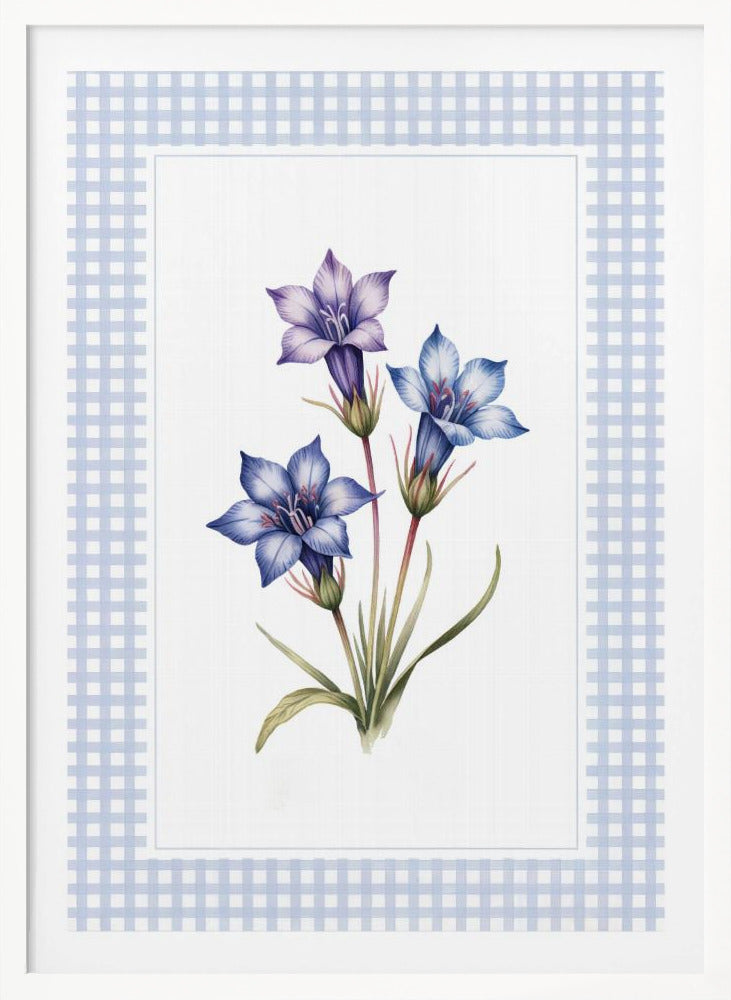 Gentiana Flowers - Poster / Art Print