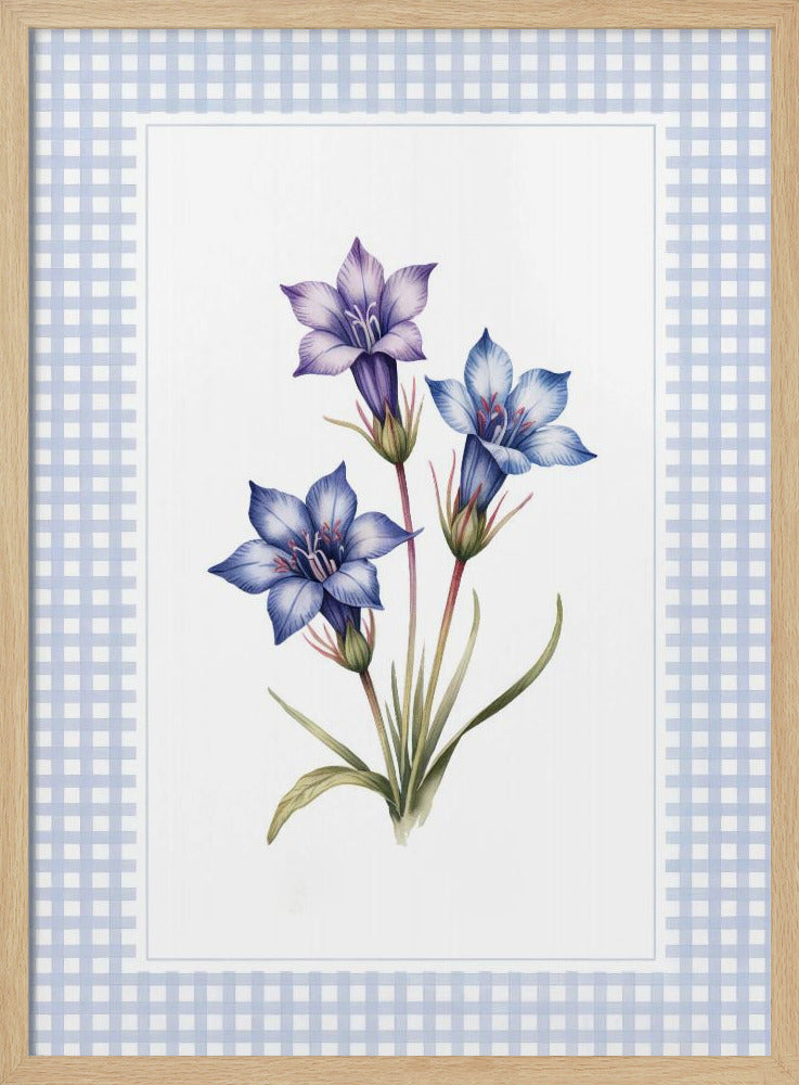Gentiana Flowers - Poster / Art Print
