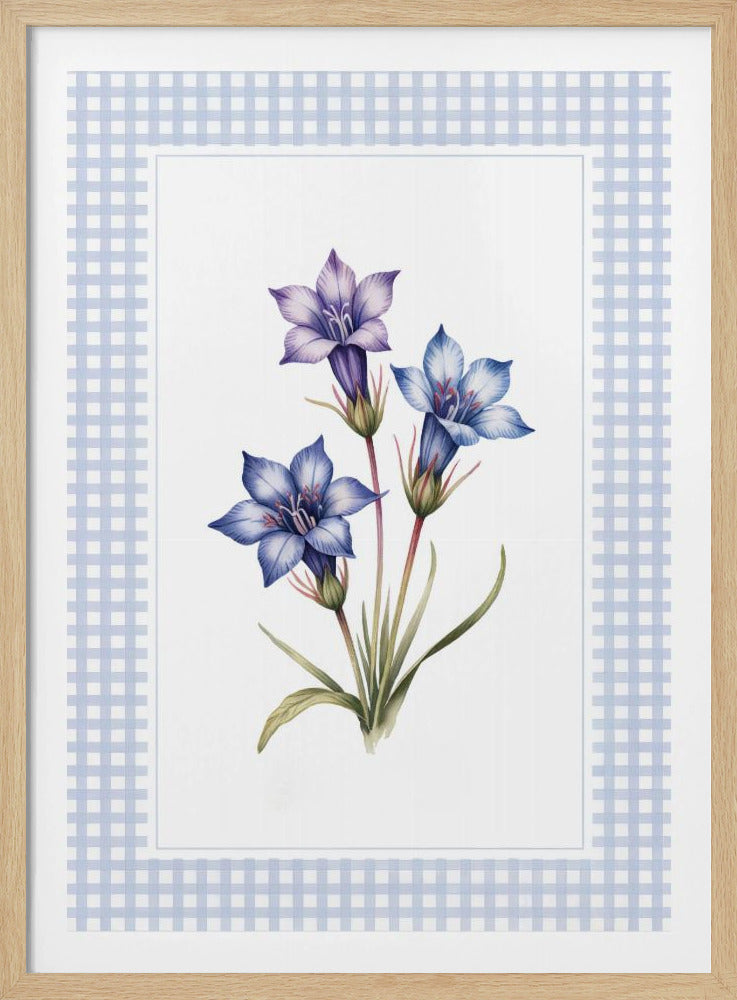 Gentiana Flowers - Poster / Art Print