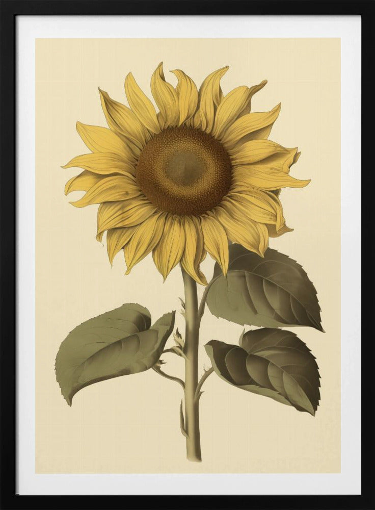 Vintage Sunflower - Poster / Art Print
