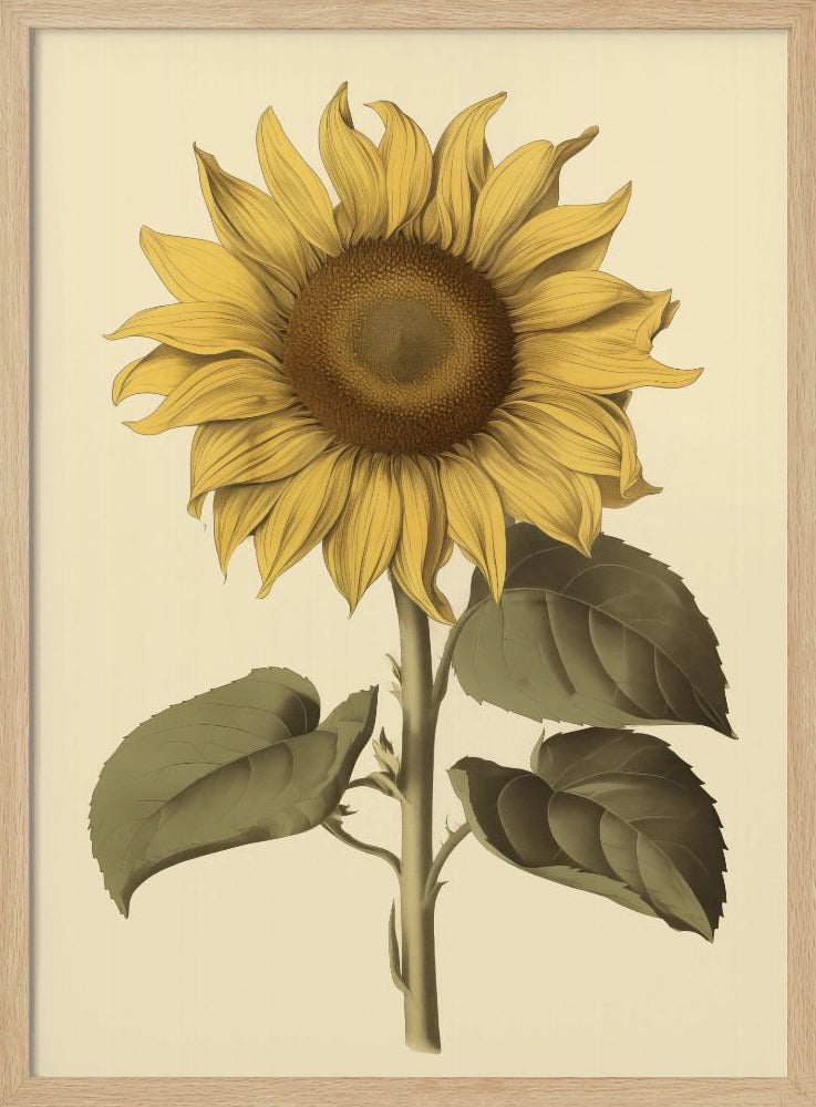 Vintage Sunflower - Poster / Art Print
