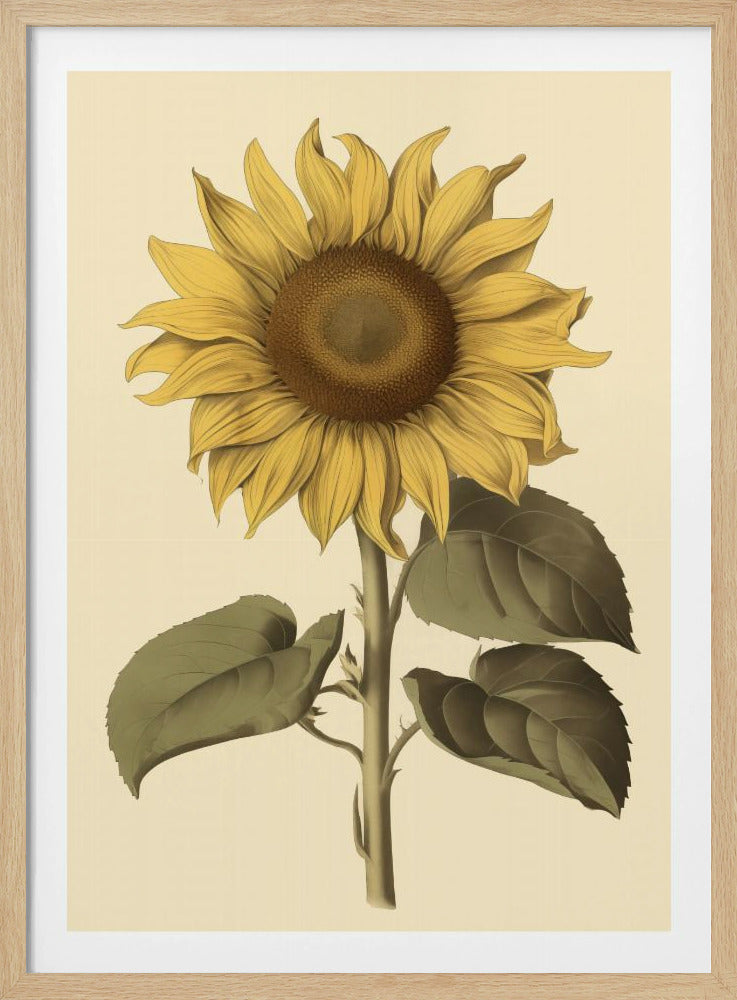 Vintage Sunflower - Poster / Art Print