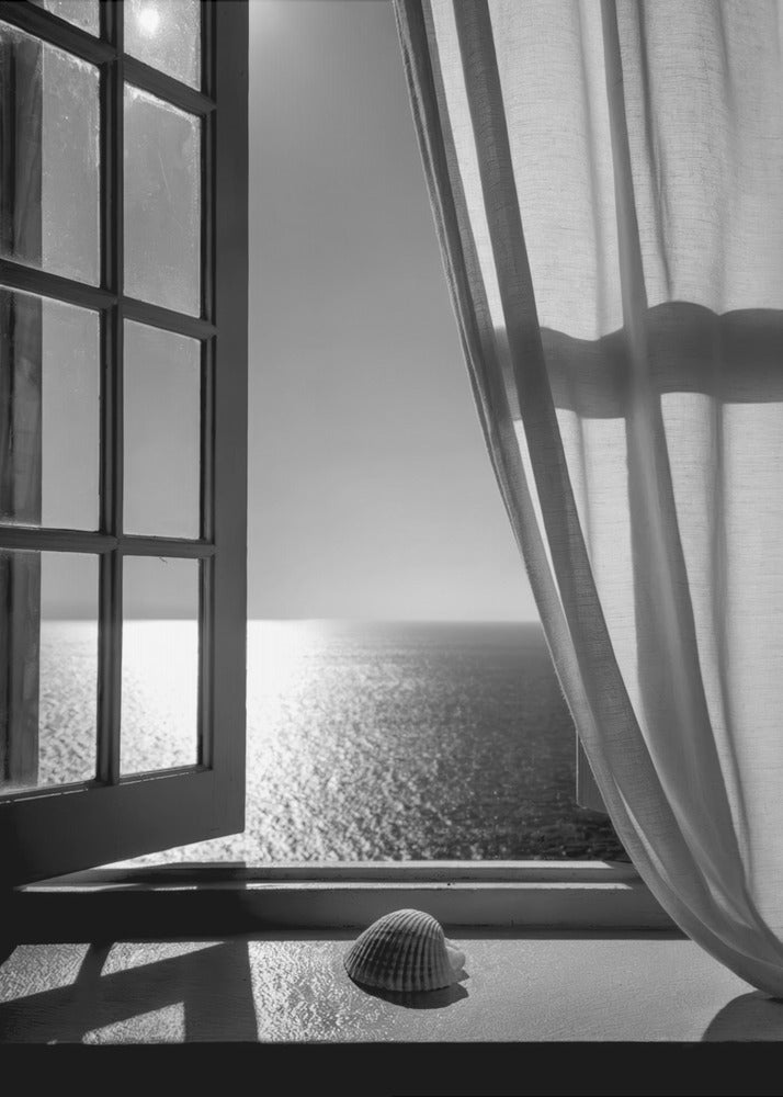 The Seashell In the Window - Poster / Art Print