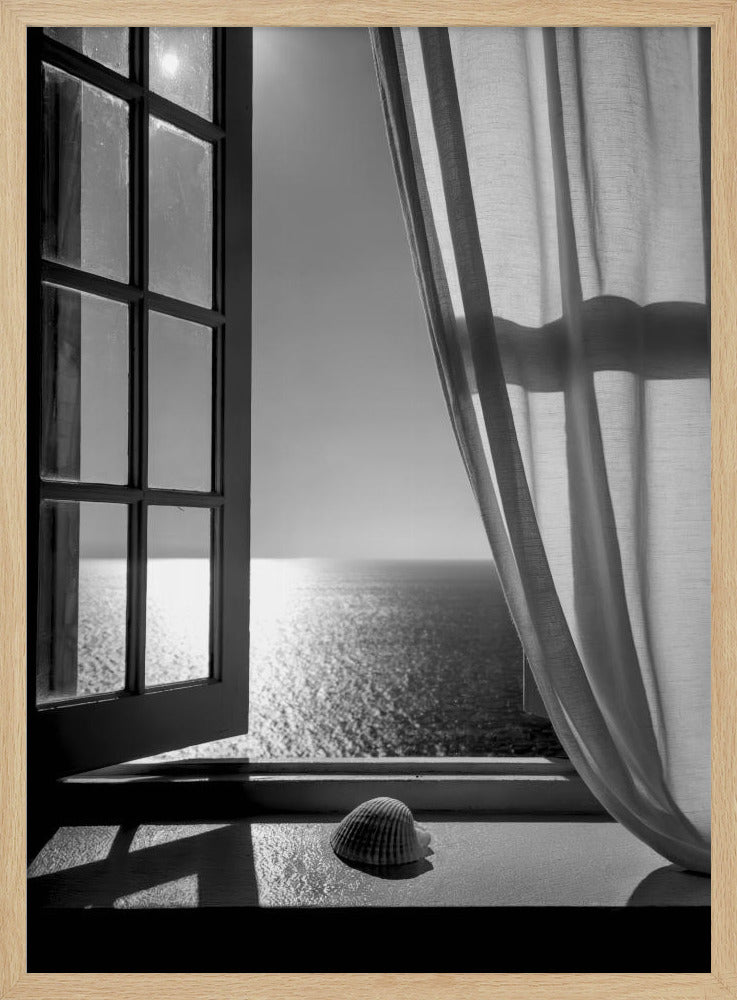 The Seashell In the Window - Poster / Art Print