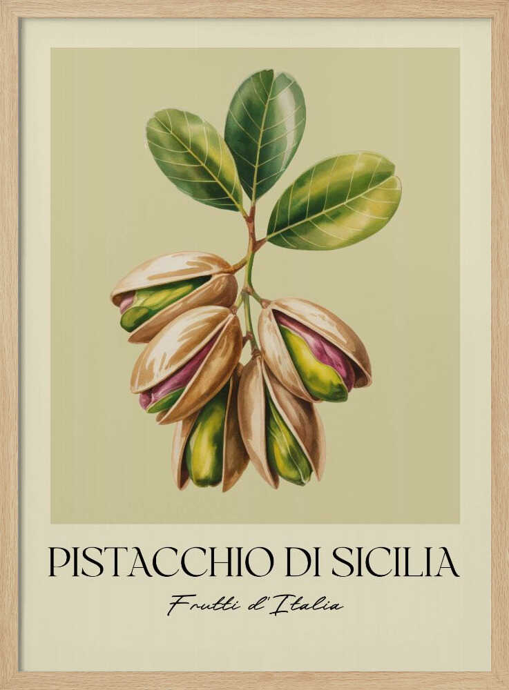 Pistacchio Di Sicilia - Poster / Art Print