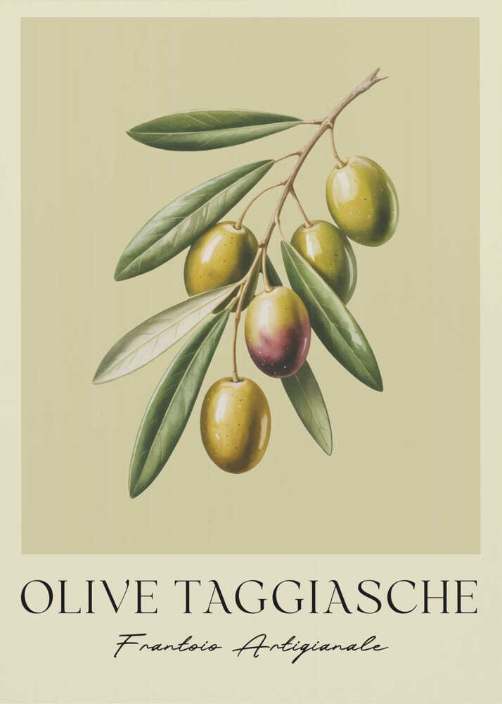 Olive Taggiasche - Poster / Art Print