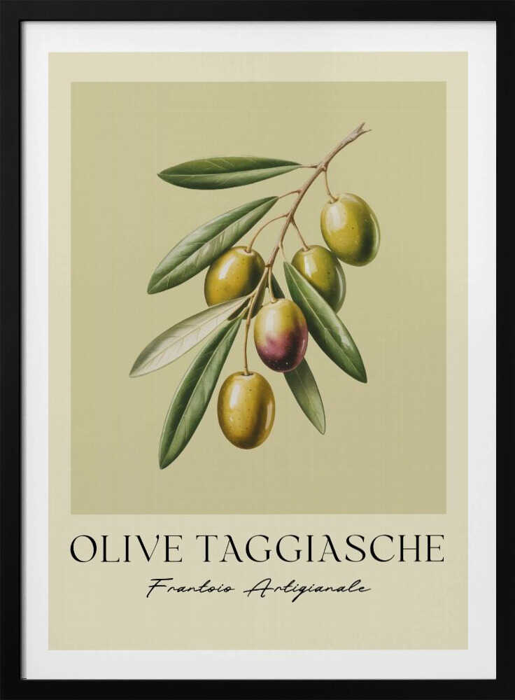 Olive Taggiasche - Poster / Art Print
