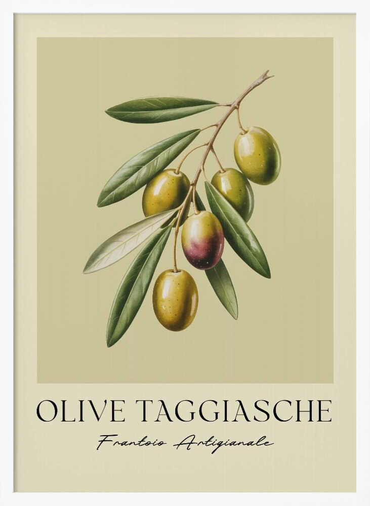 Olive Taggiasche - Poster / Art Print