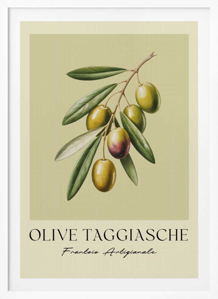 Olive Taggiasche - Poster / Art Print