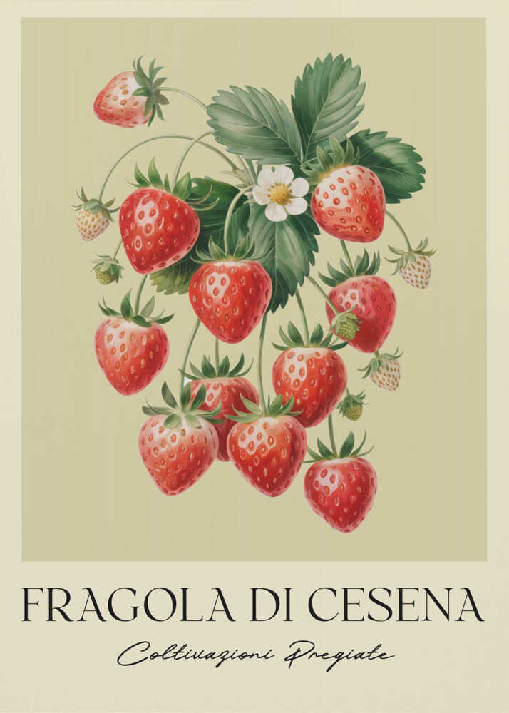 Fragola Di Cesena - Poster / Art Print