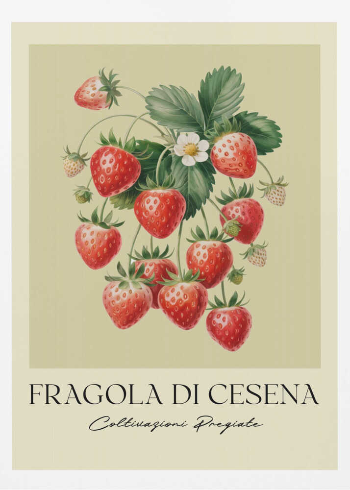 Fragola Di Cesena - Poster / Art Print