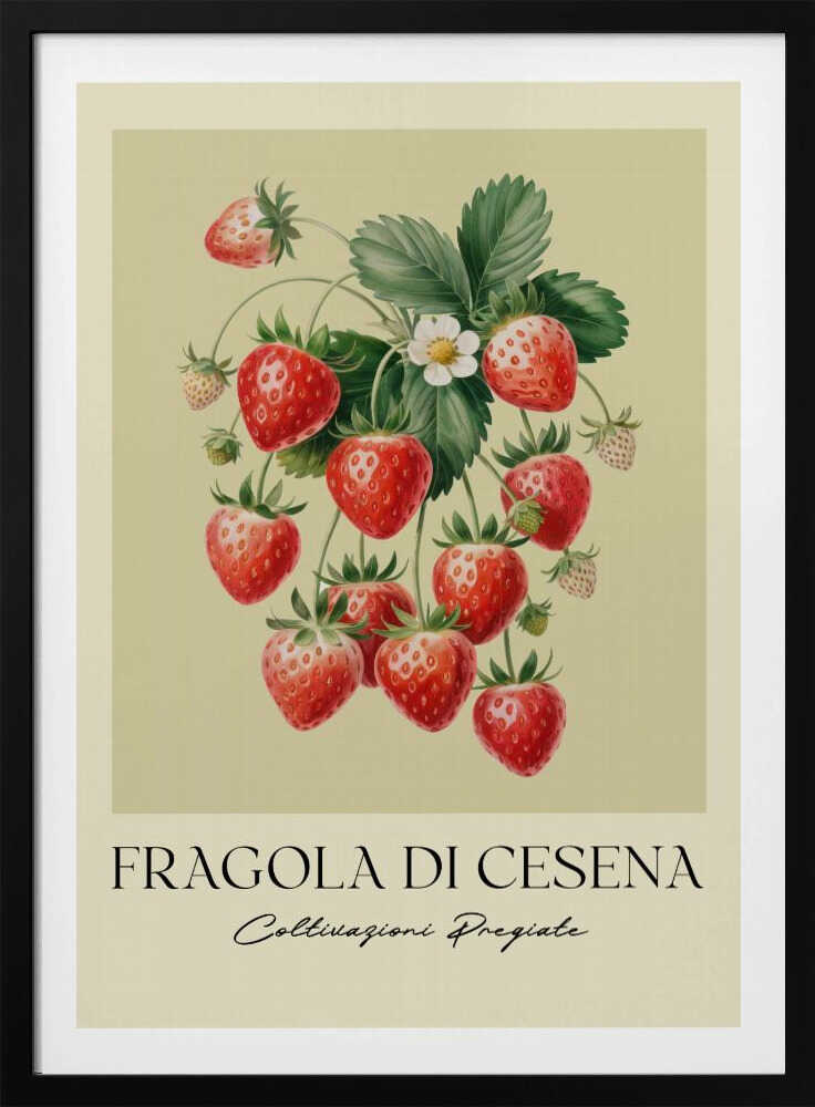 Fragola Di Cesena - Poster / Art Print