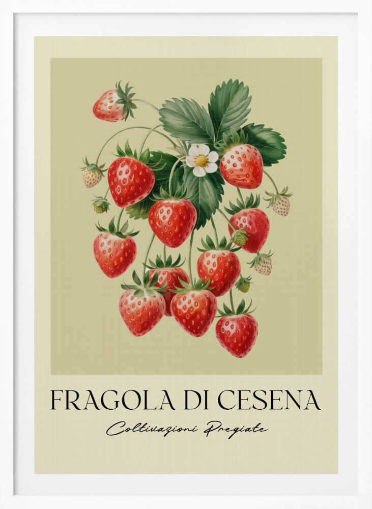 Fragola Di Cesena - Poster / Art Print
