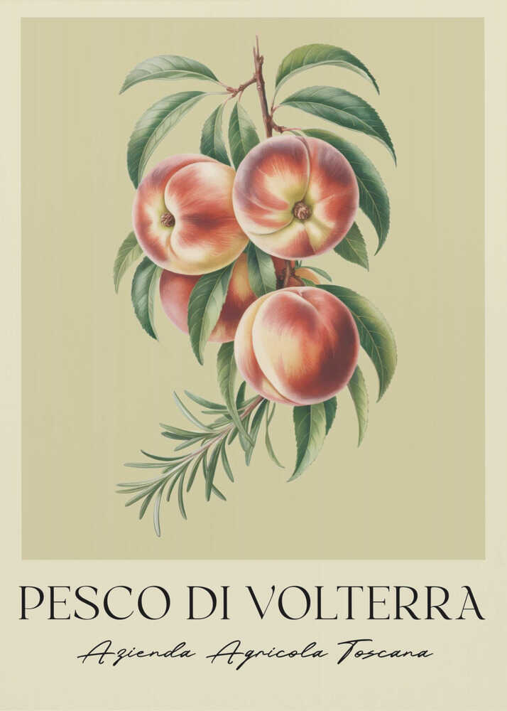 Pesco Di Volterra - Poster / Art Print