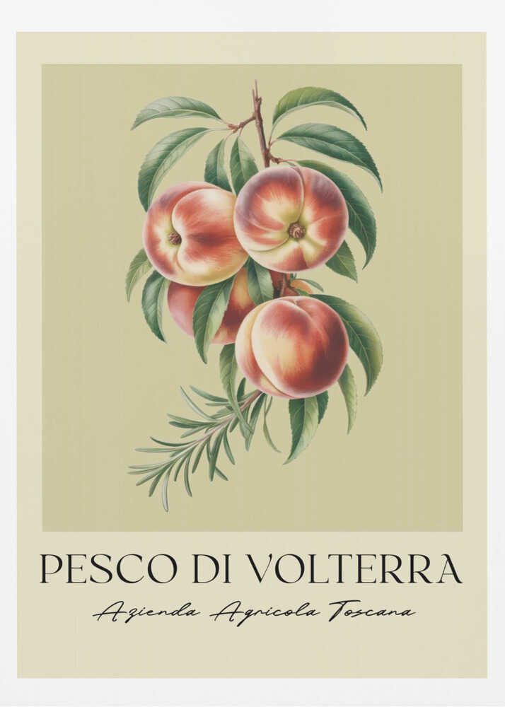 Pesco Di Volterra - Poster / Art Print