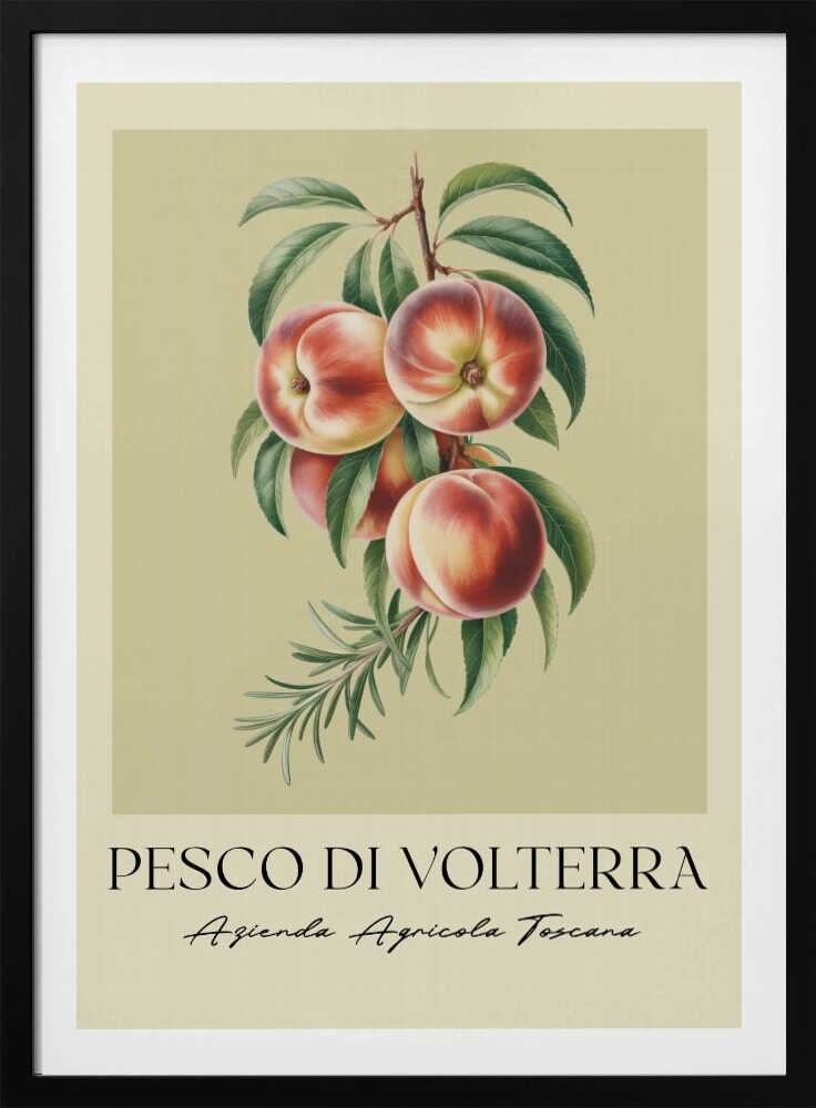 Pesco Di Volterra - Poster / Art Print
