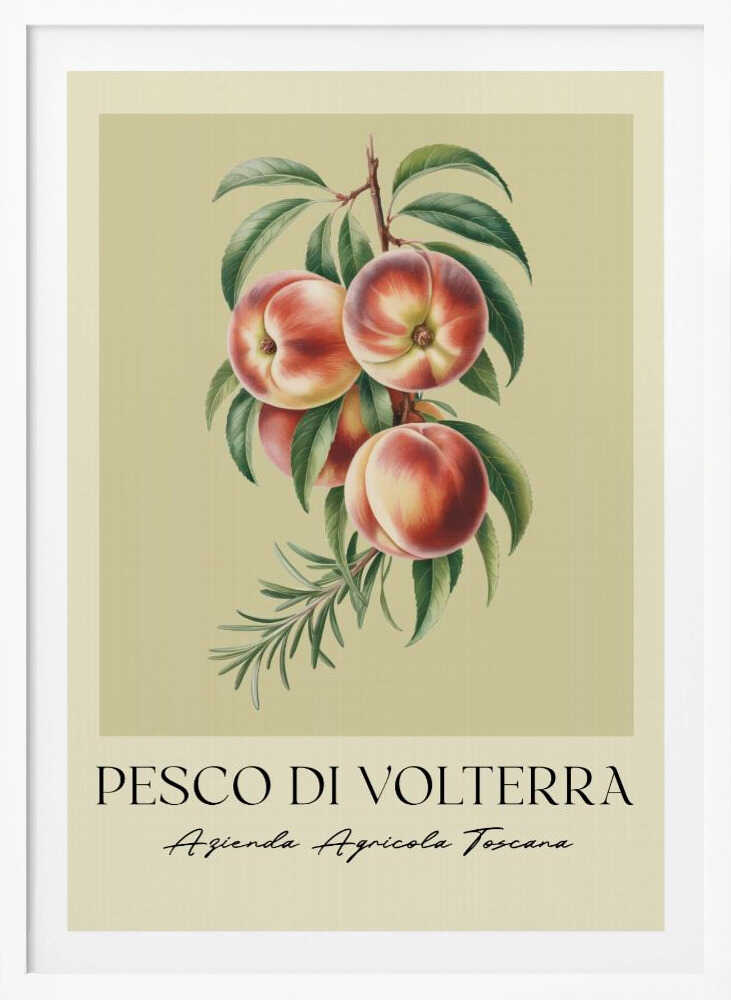 Pesco Di Volterra - Poster / Art Print