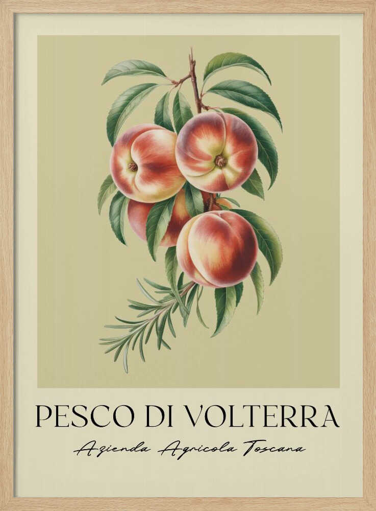 Pesco Di Volterra - Poster / Art Print