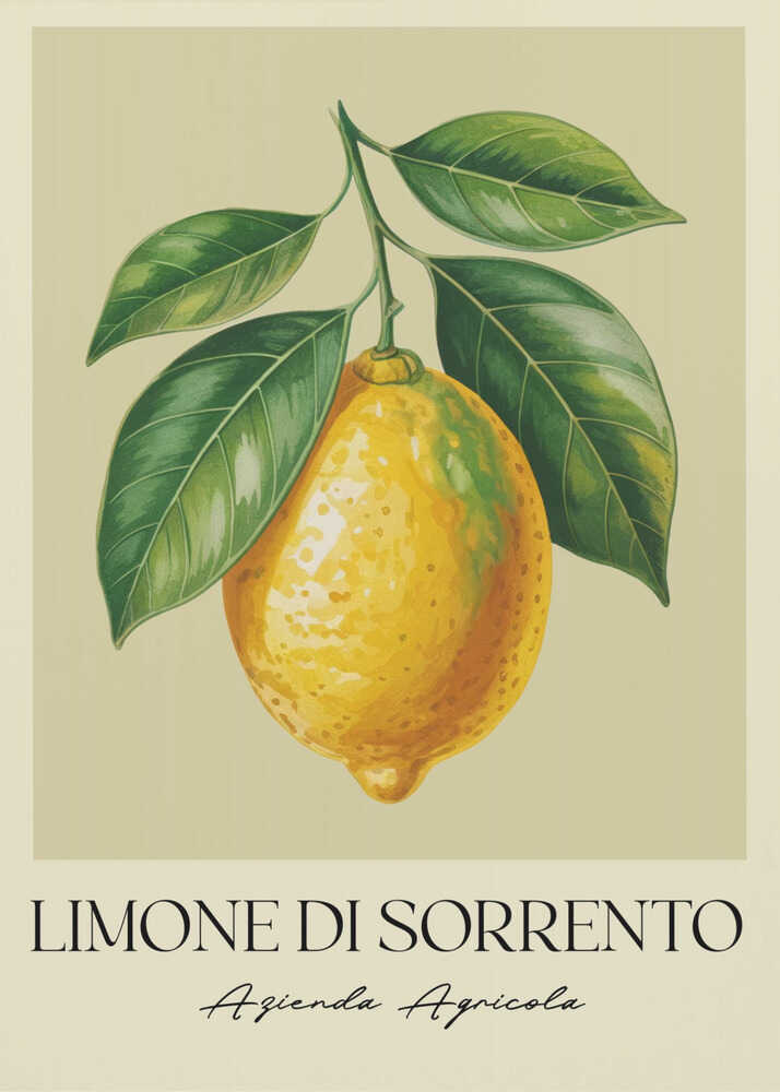 Limone Di Sorrento - Poster / Art Print