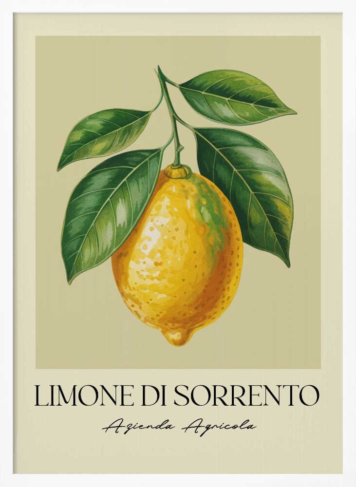 Limone Di Sorrento - Poster / Art Print