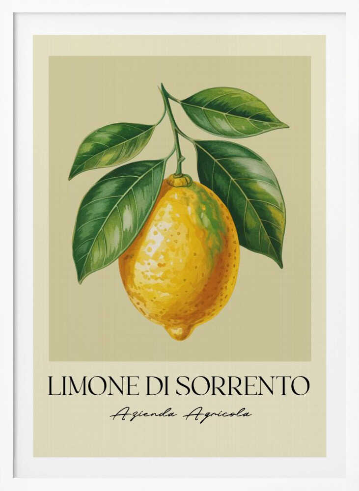 Limone Di Sorrento - Poster / Art Print