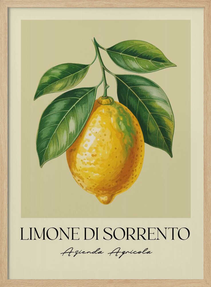 Limone Di Sorrento - Poster / Art Print