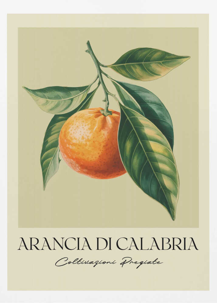 Arancia Di Calabria - Poster / Art Print